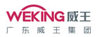 廣東威王集團網站網站定制